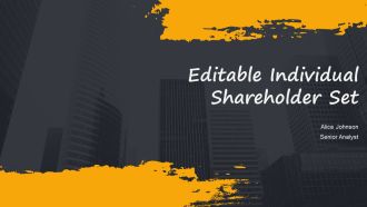 Editable Individual Shareholder Set PPT Summary AT
