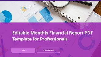 Editable Monthly Financial Report PDF Template For Professionals PPT H