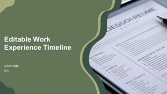 Editable Work Experience Timeline PPT Slides AT