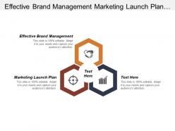 Effective brand management marketing launch plan talent management