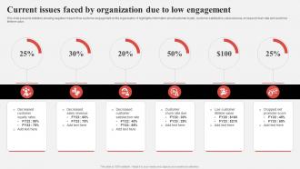 Effective Consumer Engagement Plan Current Issues Faced By Organization Due To Low Engagement