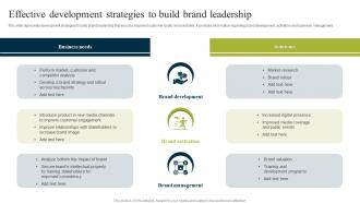 Effective Development Strategies To Build Brand Leadership