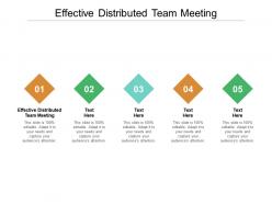 Effective distributed team meeting ppt powerpoint presentation model file formats cpb