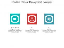 Effective efficient management examples ppt powerpoint presentation model master slide cpb