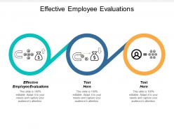 Effective employee evaluations ppt powerpoint presentation design inspiration cpb