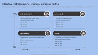 Effective Entrepreneurial Strategy Compass Matrix
