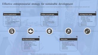 Effective Entrepreneurial Strategy For Sustainable Development