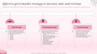 Effective Go To Market Strategy To Cosmetic Industry Business Plan BP SS