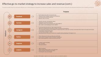 Effective Go To Market Strategy To Increase Sales And Revenue Natural Cosmetic Business Plan BP SS Designed Downloadable