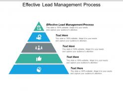 Effective lead management process ppt powerpoint presentation icon influencers cpb