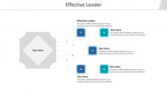 Effective leader ppt powerpoint presentation outline portfolio cpb