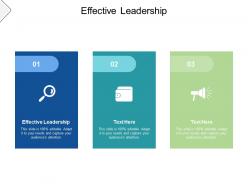 Effective leadership ppt powerpoint presentation infographic template introduction cpb