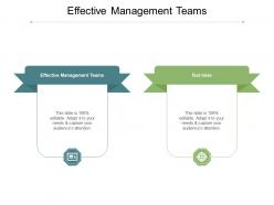 Effective management teams ppt powerpoint presentation styles graphic tips cpb