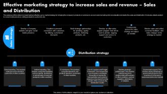 Effective Marketing Strategy To Increase Sales And Revenue Worldwide Distribution Business Plan BP SS