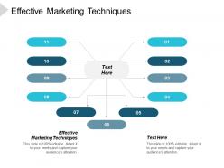 Effective marketing techniques ppt powerpoint presentation infographic template rules cpb