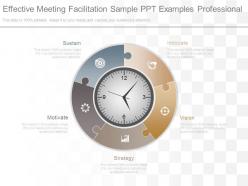 Effective meeting facilitation sample ppt examples professional