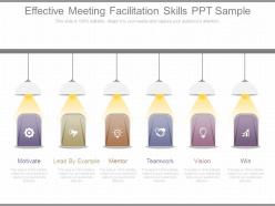 Effective meeting facilitation skills ppt sample
