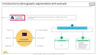 Effective Micromarketing Approaches Introduction To Demographic Segmentation MKT SS V