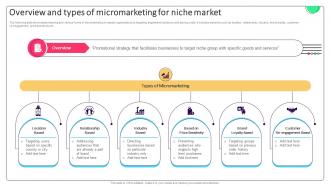 Effective Micromarketing Approaches Overview And Types Of Micromarketing For Niche MKT SS V