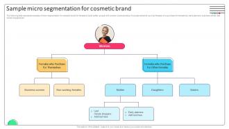 Effective Micromarketing Approaches Sample Micro Segmentation For Cosmetic Brand MKT SS V