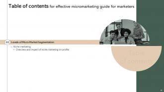 Effective Micromarketing Guide For Marketers MKT CD V Multipurpose Slides
