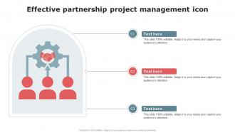 Effective Partnership Project Management Icon