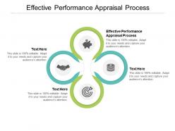 Effective performance appraisal process ppt powerpoint presentation model example topics cpb