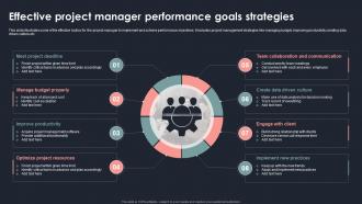 Effective Project Manager Performance Goals Strategies