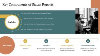 Effective Project Status Reporting PPT Outline AT Appealing Visual