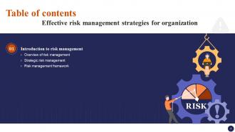Effective Risk Management Strategies For Organization Risk CD Downloadable Template