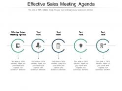 Effective sales meeting agenda ppt powerpoint presentation portfolio slide download cpb