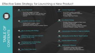 Effective Sales Strategy For Launching A New Product Table Of Contents