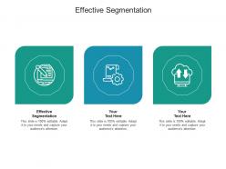 Effective segmentation ppt powerpoint presentation visual aids summary cpb
