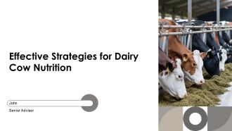 Effective Strategies For Dairy Cow Nutrition PPT Slides AT