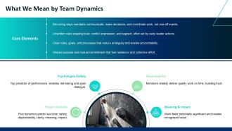 Effective Team Dynamics PPT Presentation VA Attractive Template