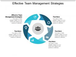 Effective team management strategies ppt powerpoint presentation file clipart cpb