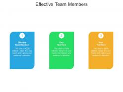 Effective team members ppt powerpoint presentation infographics slide portrait cpb