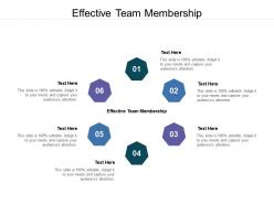 Effective team membership ppt powerpoint presentation file outfit cpb