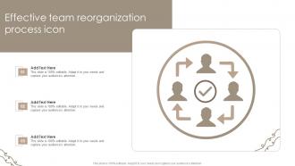 Effective Team Reorganization Process Icon