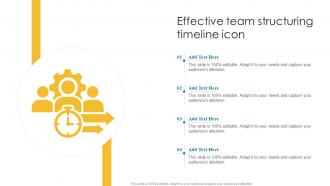 Effective Team Structuring Timeline Icon