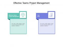 Effective teams project management ppt powerpoint presentation slides influencers cpb