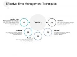 Effective time management techniques ppt powerpoint presentation ideas gallery cpb