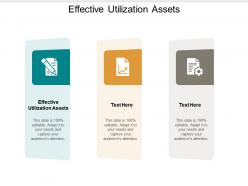 Effective utilization assets ppt powerpoint presentation file slide portrait cpb