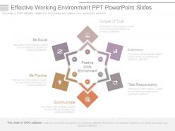 Effective Working Environment Ppt Powerpoint Slides