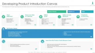 Effectively introducing new product developing product introduction canvas