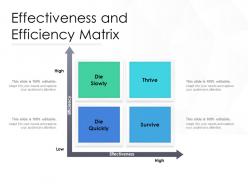 Effectiveness and efficiency matrix