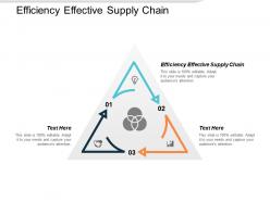 Efficiency effective supply chain ppt powerpoint presentation ideas deck cpb