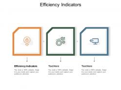 Efficiency indicators ppt powerpoint presentation professional cpb