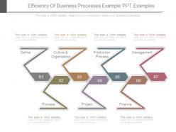 Efficiency of business processes example ppt examples