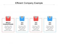 Efficient company example ppt powerpoint presentation icon slides cpb